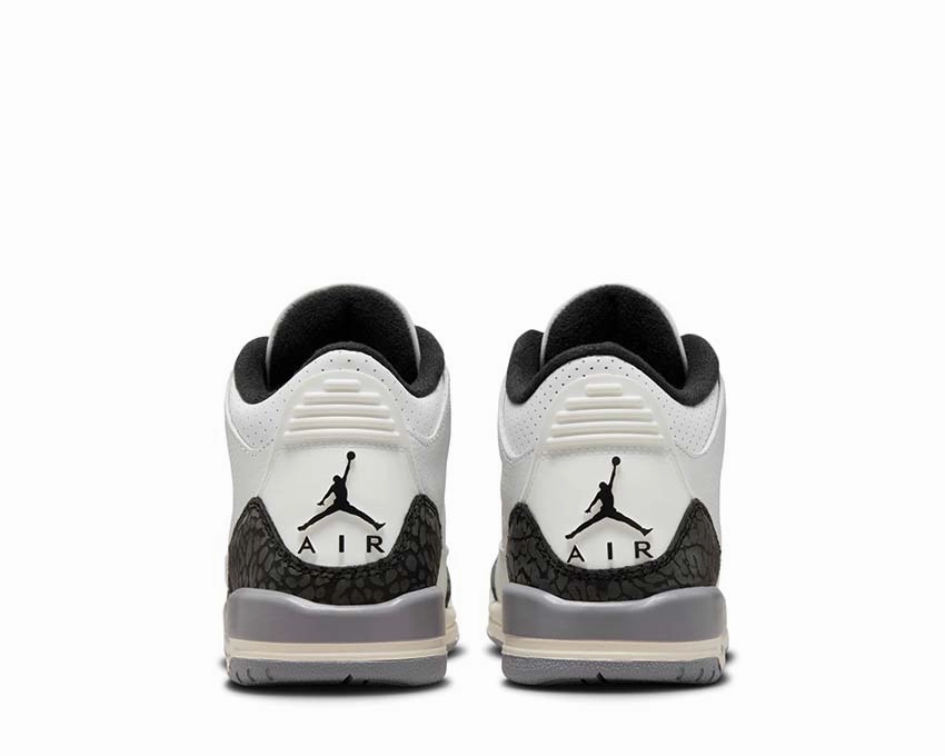 EditorS Pick Air Jordan 3 Retro GS "Cement Grey" Compact