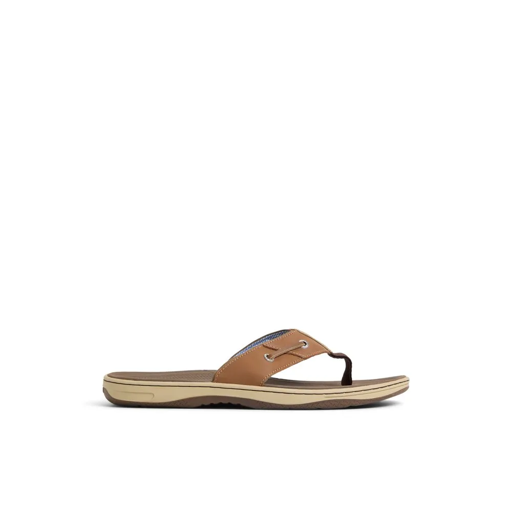 Baitfish Thong Sandals
