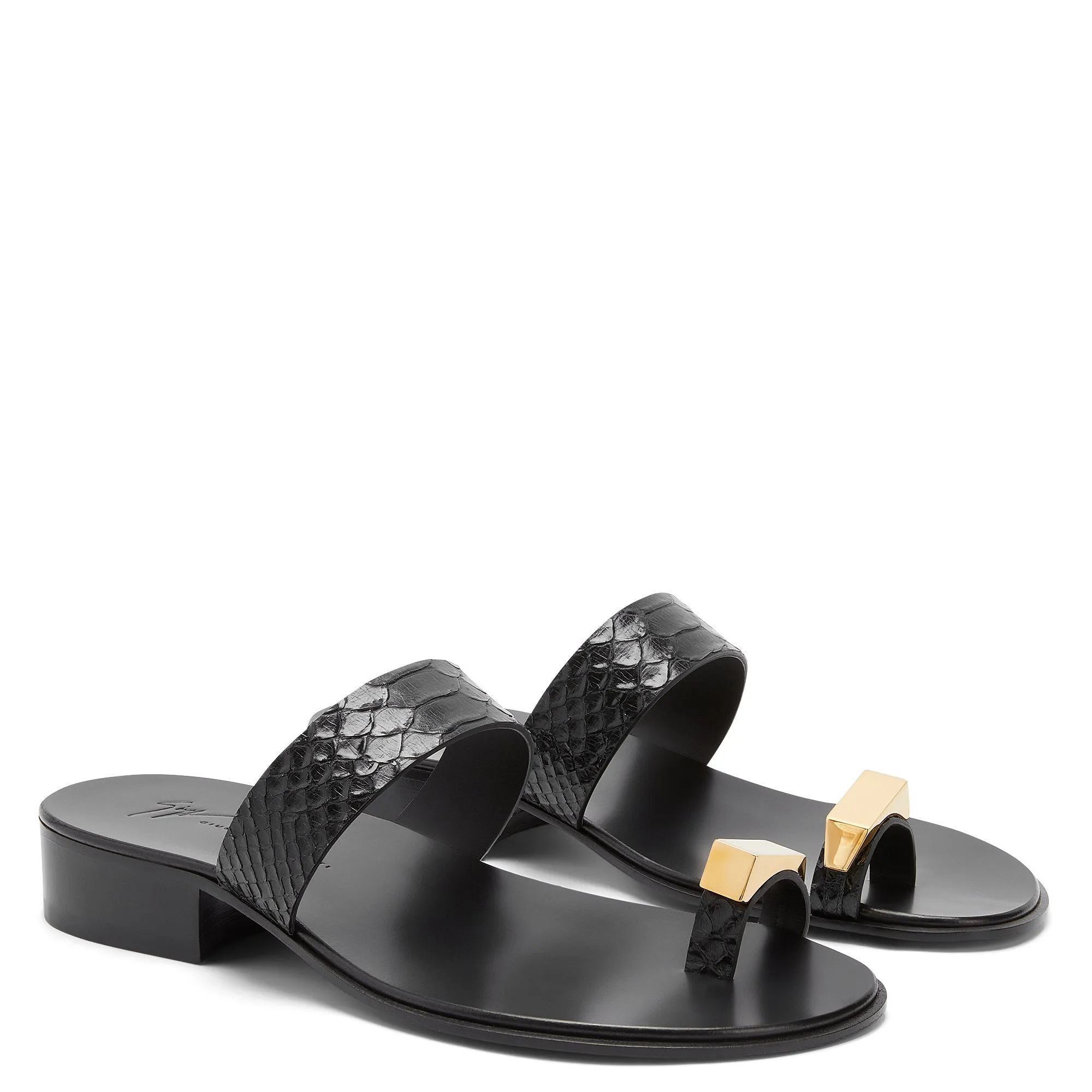 Giuseppe Zanotti Bardack