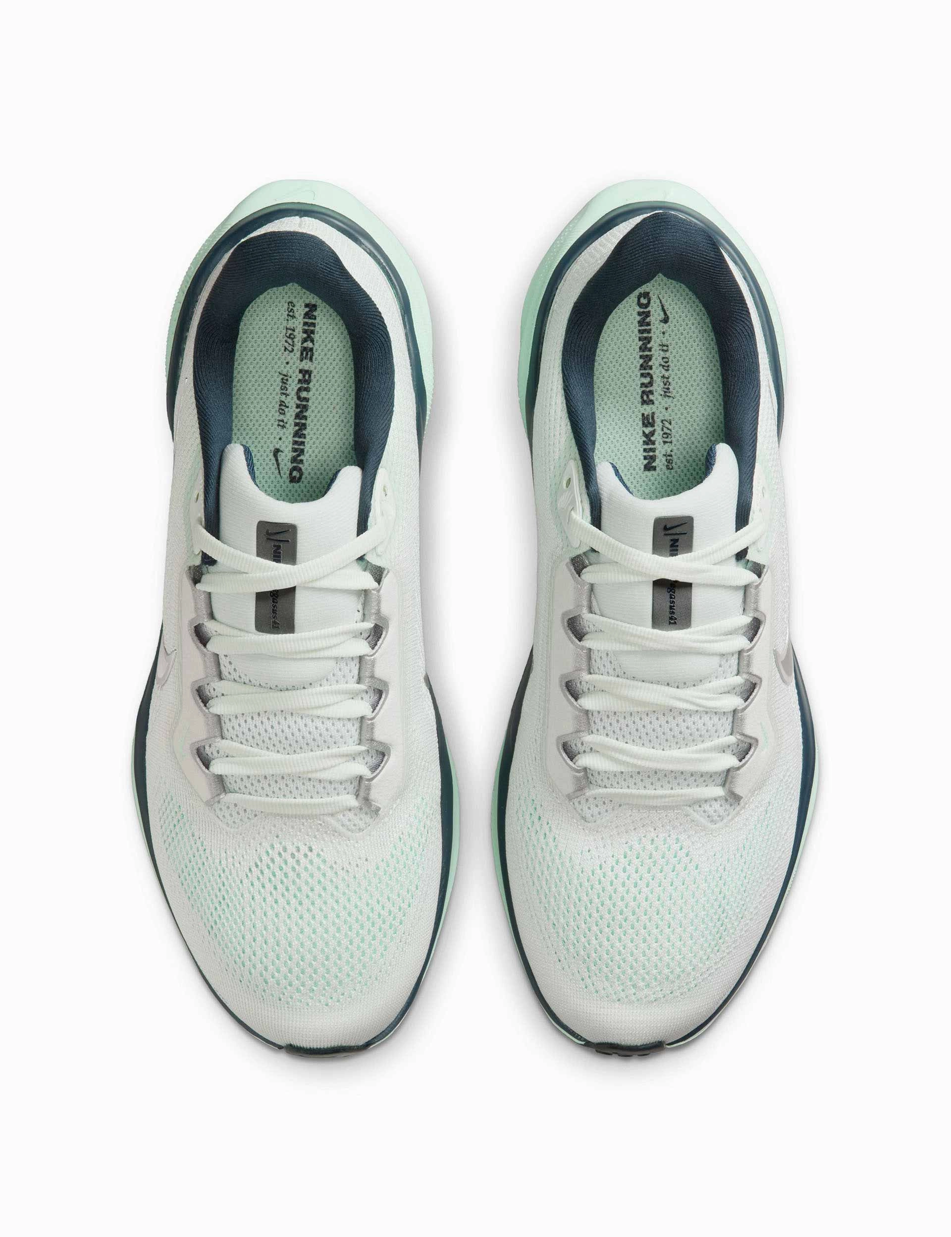 Elegant Simplicity Pegasus 41 Shoes - Ghost Aqua/Metallic Silver/Mint Foam